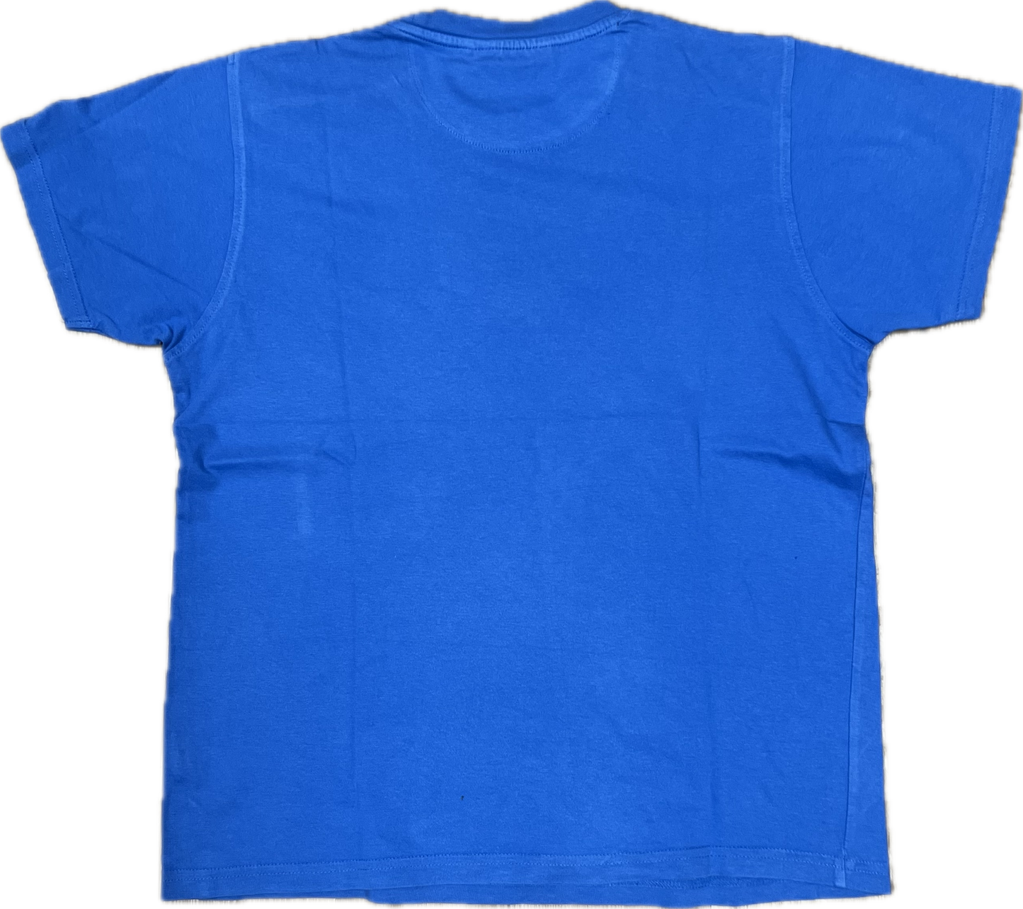 🔥 T-Shirt Champions bleu Medium